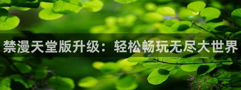 age专注动漫的门户网站：禁漫天堂版升级：轻松畅玩无尽大世界