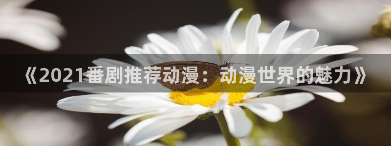 age专注动漫的门户网站：《2021番剧推荐动漫：动漫世界的魅力》