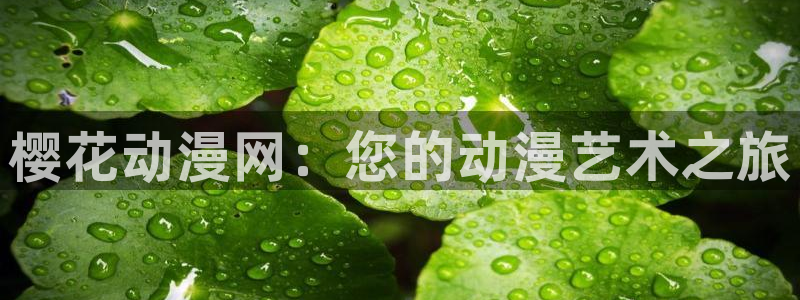 喵趣漫画网官网入口：樱花动漫网：您的动漫艺术之旅