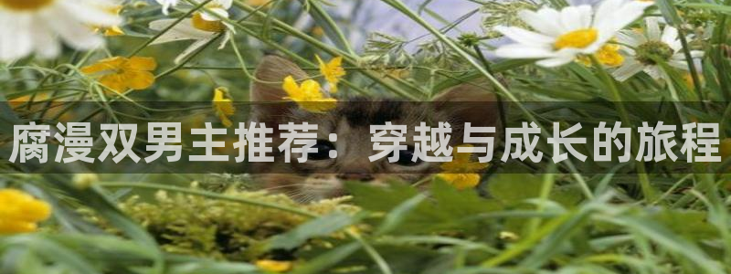 喵趣漫画专注动漫的门户网站：腐漫双男主推荐：穿越与成长的旅程