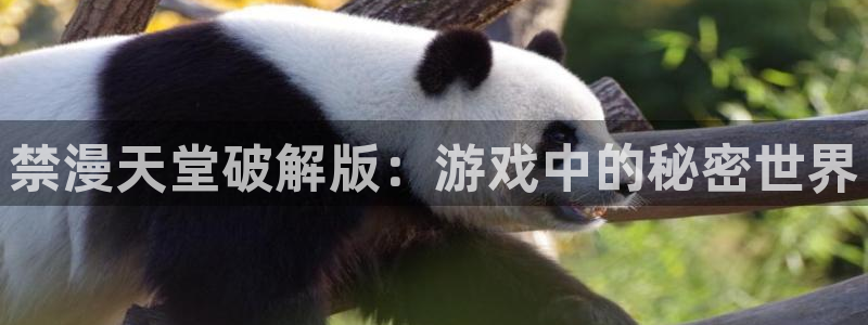 喵趣漫画下载入口：禁漫天堂破解版：游戏中的秘密世界