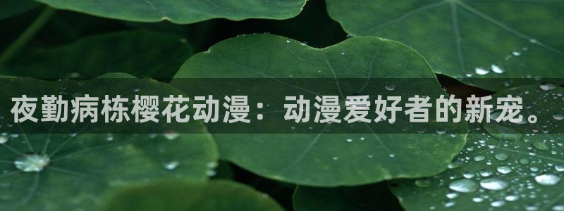 下载喵趣漫画：夜勤病栋樱花动漫：动漫爱好者的新宠。