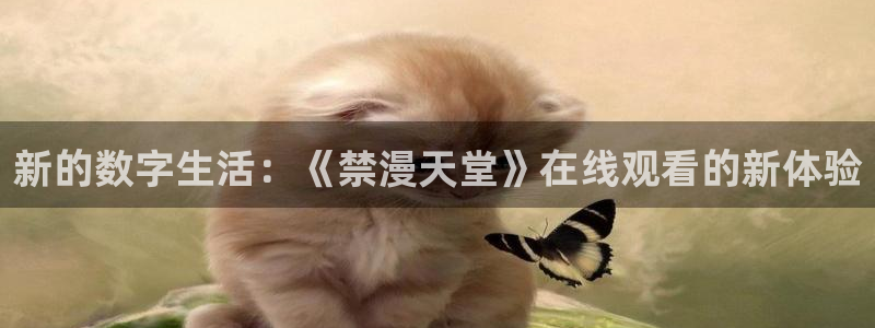 age专注动漫的门户网站：新的数字生活：《禁漫天堂》在线观看的新体验