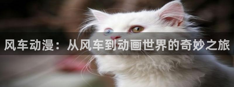 喵趣漫画官网樱花动漫：风车动漫：从风车到动画世界的奇妙之旅