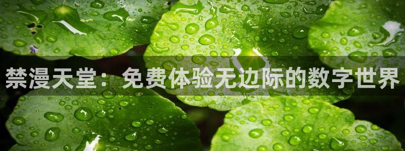 拷贝漫画 copymanager.ory网站：禁漫天堂：免费体验无边际的数字世界