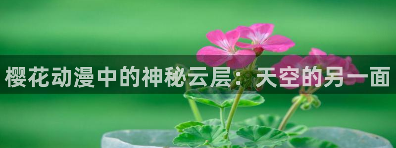 喵趣漫画樱花：樱花动漫中的神秘云层：天空的另一面