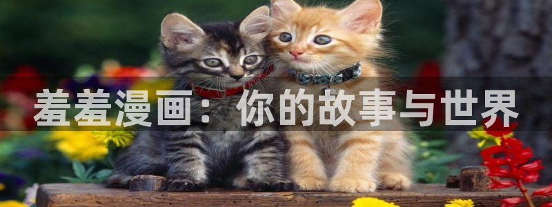 喵趣漫画樱花：羞羞漫画：你的故事与世界