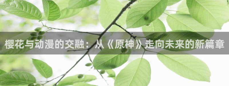 age漫画网：樱花与动漫的交融：从《原神》走向未来的新篇章