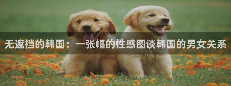 喵趣漫画网：无遮挡的韩国：一张幅的性感图谈韩国的男女关系