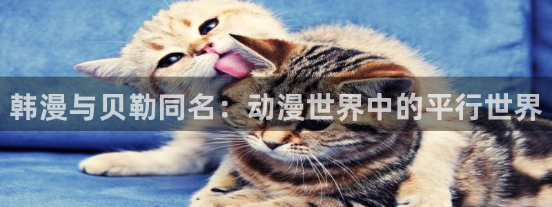 喵趣漫画樱花：韩漫与贝勒同名：动漫世界中的平行世界