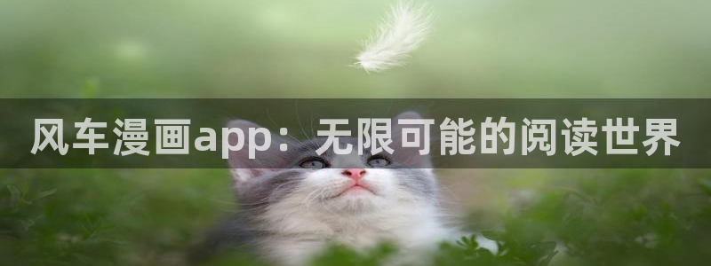 喵趣漫画官网版入口：风车漫画app：无限可能的阅读世界
