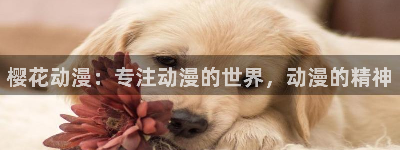喵趣漫画下载：樱花动漫：专注动漫的世界，动漫的精神