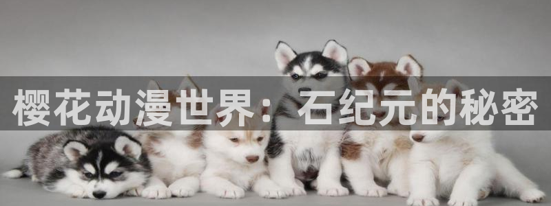 managereader漫画官网入口：樱花动漫世界：石纪元的秘密