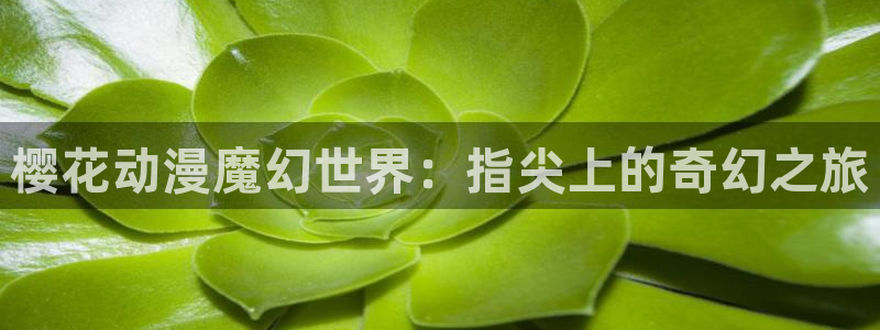 喵趣漫画官网在线入口：樱花动漫魔幻世界：指尖上的奇幻之旅